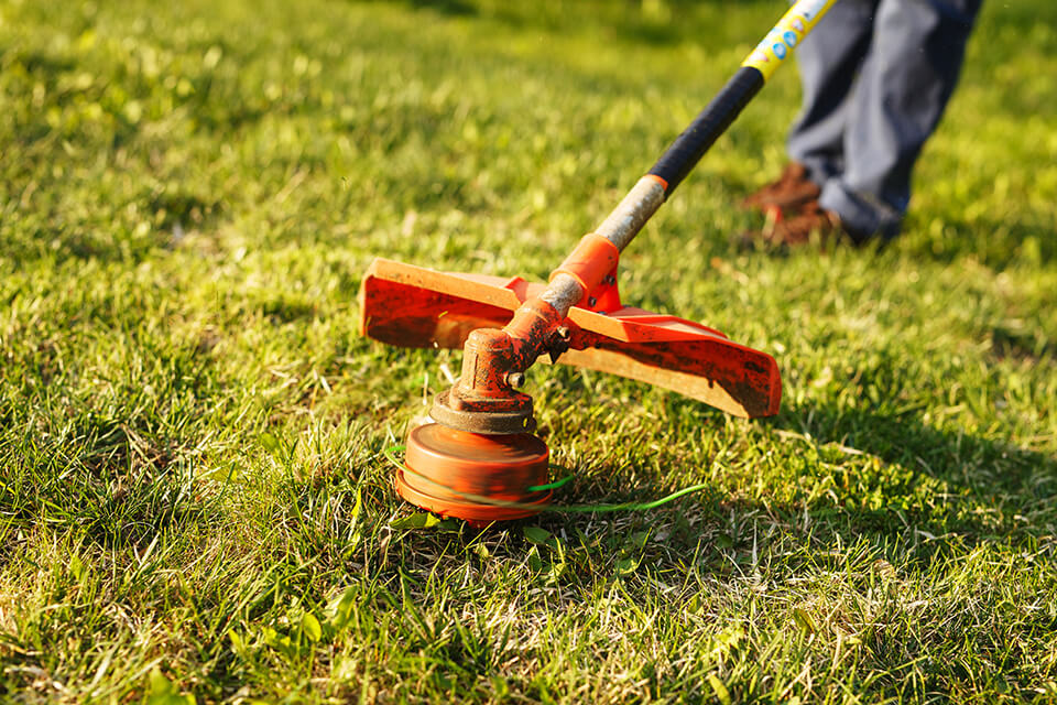 Garden Services