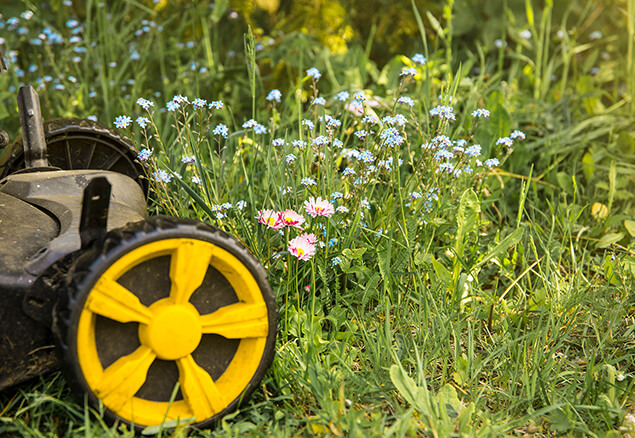 Garden Services